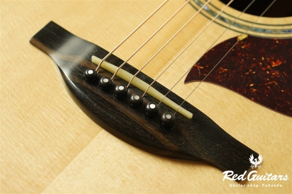 F130-GA Sitka Spruce / Indian Rosewood
